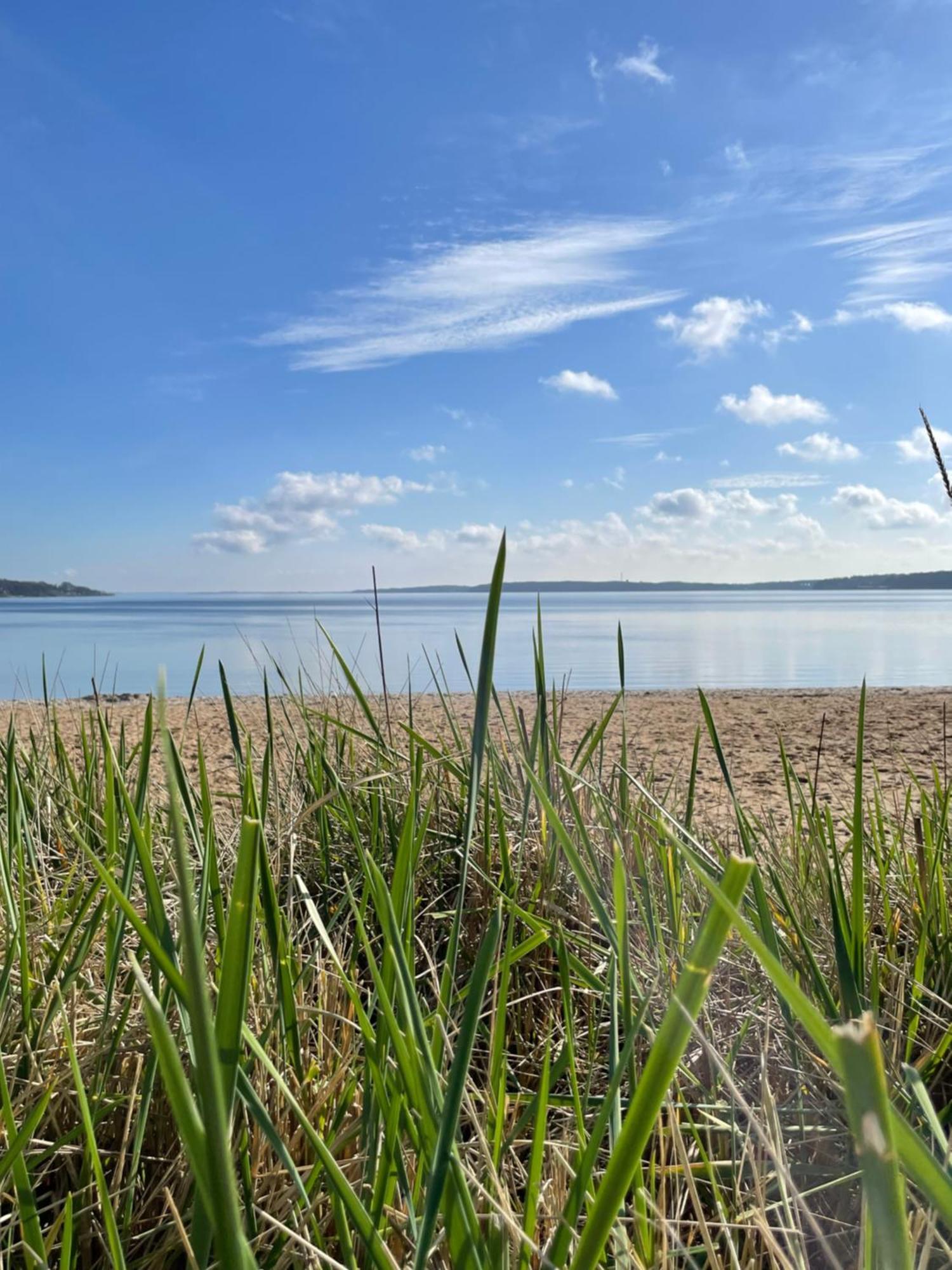 Strandliebe - Fewo Mit Meerblick Harrislee Kültér fotó